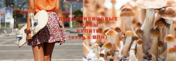 2c-b Заволжье