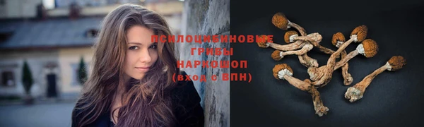 ECSTASY Заволжск