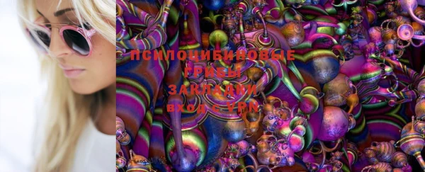 ECSTASY Заволжск