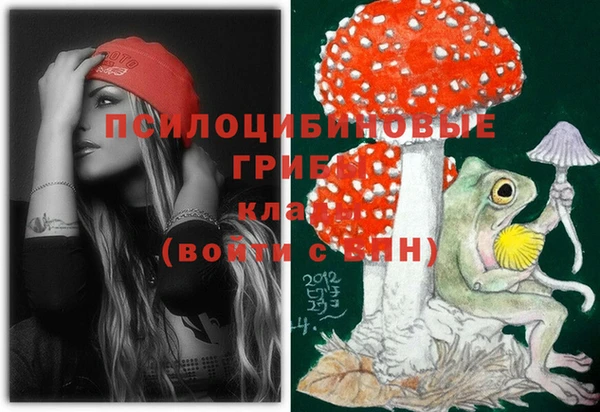 ECSTASY Заволжск