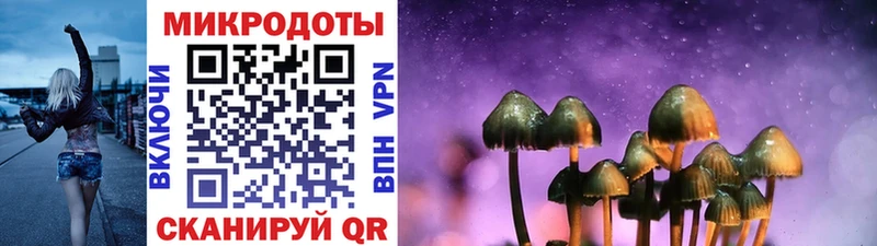 Псилоцибиновые грибы ЛСД  Купить закладки  Туринск 